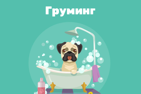 Стрижка животных